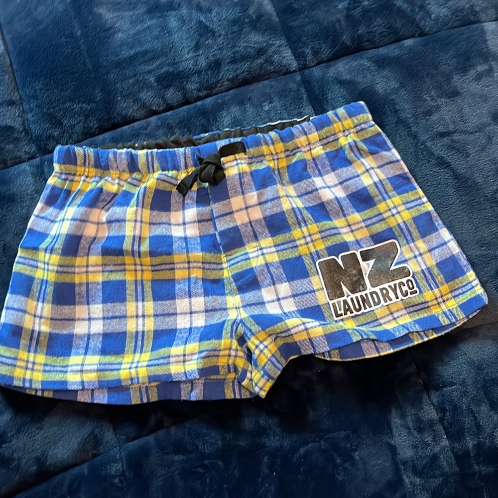 NZ Laundry Co Blue Plaid Men's Shorts. AussieBum size Small. - Picture 3 of 8